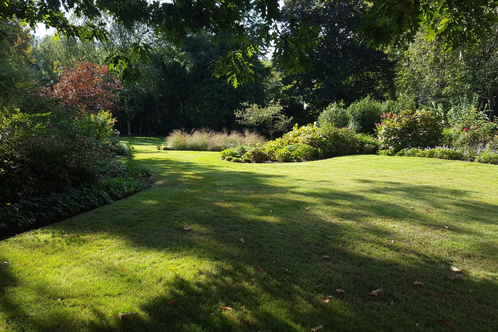 Jardin verdoyant avec des ombres, des plantes variées et des arbustes.
