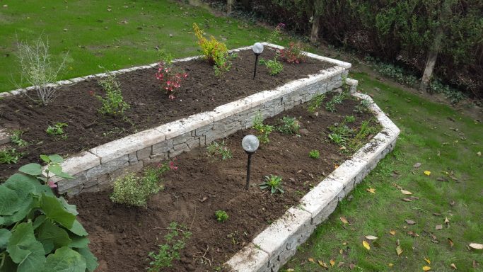 Jardin en terrasses avec des plantes et un éclairage au sol dans un espace vert.